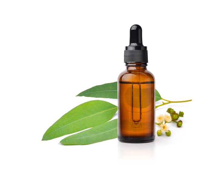 Eucalyptus oil
